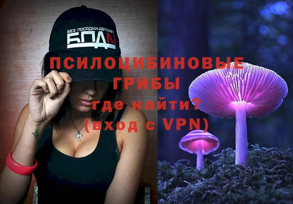 молекула духа Щигры