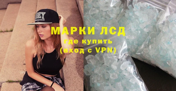 молекула духа Щигры