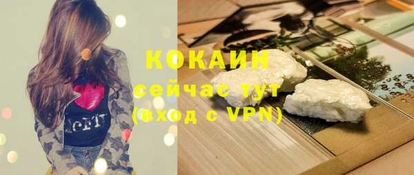 молекула духа Щигры
