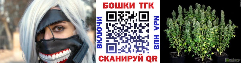 блэк спрут как войти  где купить наркотик  Борисоглебск  МАРИХУАНА сатива 